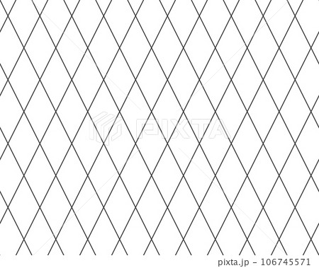 Diagonal cross line grid seamless pattern. Geometric diamond texture. Black diagonal line mesh on white background. Minimal quilted fabric. Metallic wires fence pattern. Vector illustration 106745571
