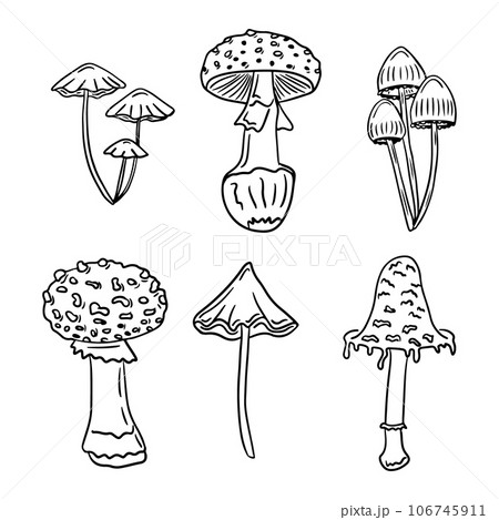 Set of doodle hand drawn poisonous wild mushrooms 106745911