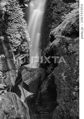 （群馬県）初秋の照葉峡・大沢大瀑　モノクロ 106745954