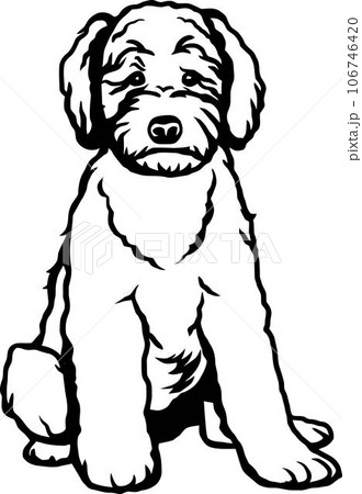 Goldendoodle - Dog Breed, Funny dog Vector File, detailed vector 106746420