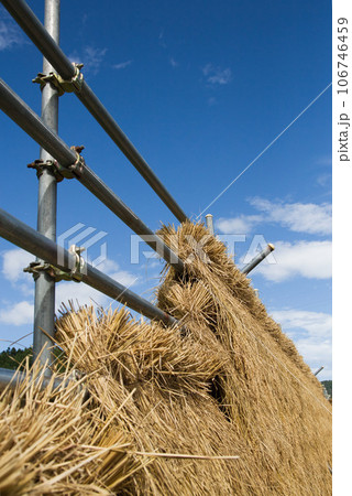 秋晴れの青空と田園風景 106746459