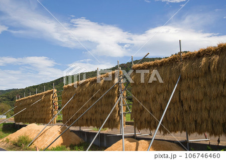 秋晴れの青空と田園風景 106746460