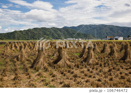 秋晴れの青空と田園風景 106746472