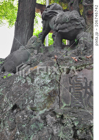 牛嶋神社の狛犬(東京都墨田区向島) 牛嶋神社の狛犬(東京都墨田区向島) 106746742