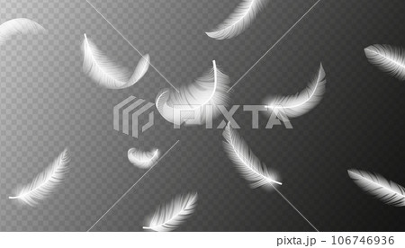 Realistic feathers. White bird falling feather isolated. Realistic 3d vector illustration of falling dove feathers texture or elegant soft plume backdrop 106746936