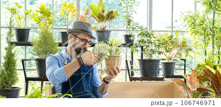 Hipster elderly men take care of the trees, pruning trees with scissors as a hobby of urban home gardening after sustainable retirement Hipster elderly men take care of the trees, pruning trees with scissors as a hobby of urban home gardening after sustainable retirement 106746971