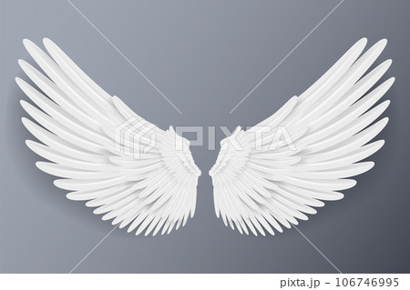 Realistic wings. Angel wings. White isolated pair of falcon wings, 3D bird wings design template. 106746995