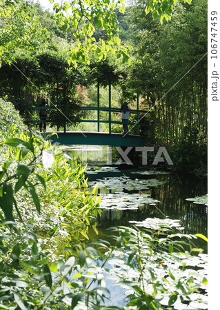 夏のモネの庭 106747459