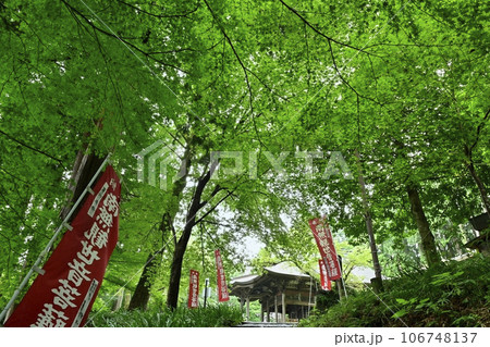 ときがわ町の都幾山慈光寺の観音堂 106748137
