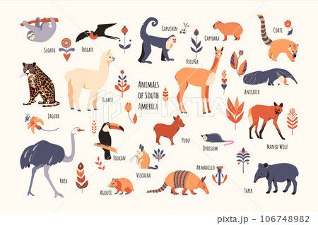 Set of South American animals with floral elements and captions. Simple vector style, beige colors. Set of South American animals with floral elements and captions. Simple vector style, beige colors. 106748982