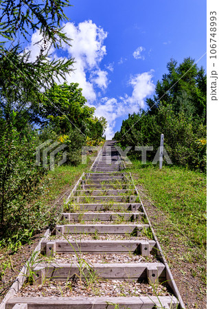 北海道岩見沢市、万字炭山森林公園ズリ山山頂に続く直線775段の階段【8月】 106748993