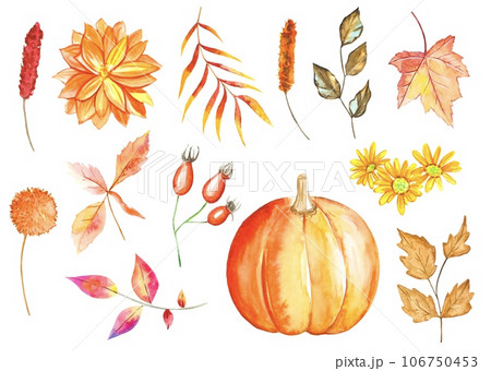 Watercolor autumn set of leaves, flowers, branches, and pumpkin isolated on white background. 106750453