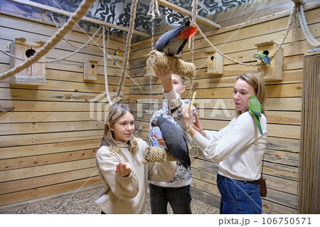 Daughter, son and mother play with parrots. The concept of a family vacation together Daughter, son and mother play with parrots. The concept of a family vacation together 106750571