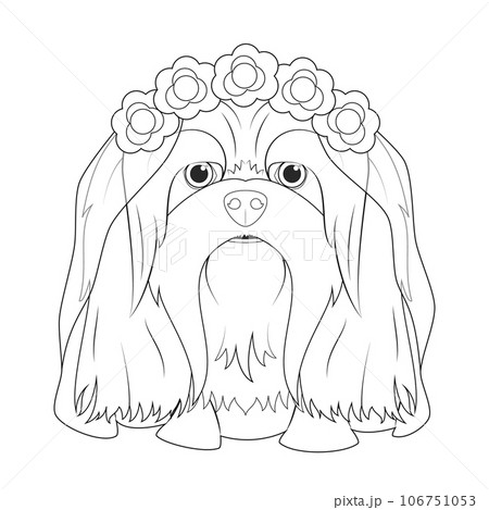 Halloween greeting card for coloring. Lhasa Apso dog dressed as a ghost with purple flowers on his head and a wedding veil 106751053