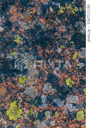 beautiful texture of surface of a rocky mountain with colorful moss close-up 106751190