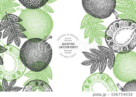 Hand drawn sketch style jackfruit banner. Organic fresh fruit vector illustration. Retro breadfruit design template Hand drawn sketch style jackfruit banner. Organic fresh fruit vector illustration. Retro breadfruit design template 106754038