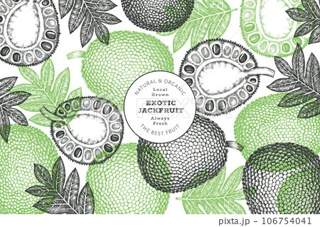 Hand drawn sketch style jackfruit banner. Organic fresh fruit vector illustration. Retro breadfruit design template Hand drawn sketch style jackfruit banner. Organic fresh fruit vector illustration. Retro breadfruit design template 106754041