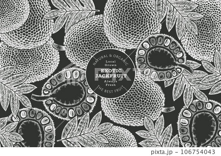 Hand drawn sketch style jackfruit banner. Organic fresh fruit vector illustration on chalk board. Retro breadfruit design template Hand drawn sketch style jackfruit banner. Organic fresh fruit vector illustration on chalk board. Retro breadfruit design template 106754043