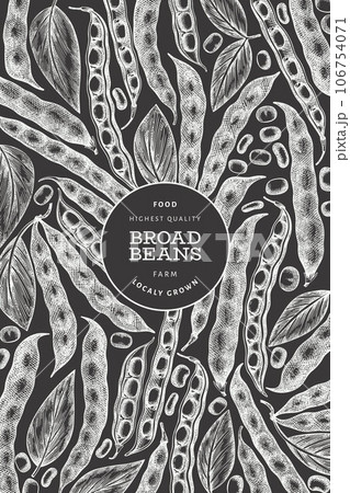 Hand drawn broad beans design template. Organic fresh food vector illustration on chalk board. Retro pods illustration. Botanical style cereal background. 106754071