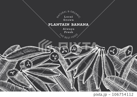 Hand drawn sketch style plantain banner. Organic fresh fruit vector illustration on chalk board. Retro exotic banana fruit design template 106754112