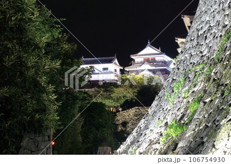 夜空に浮かぶ松山城 106754930