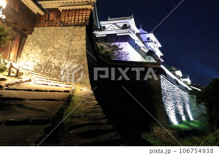 夜空に浮かぶ松山城 夜空に浮かぶ松山城 106754938