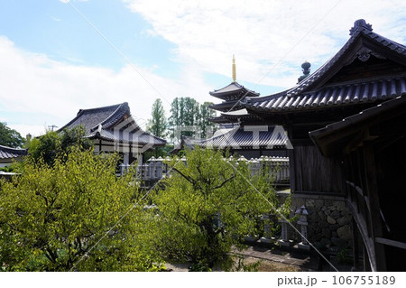 法然寺（浄土宗の寺院、香川県高松市仏生山町） 106755189
