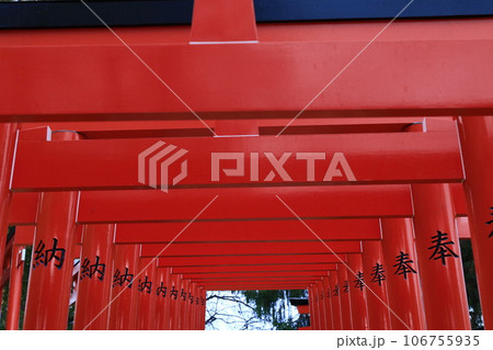 神社の赤い鳥居 神社の赤い鳥居 106755935