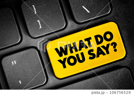 What Do You Say question text button on keyboard, concept background What Do You Say question text button on keyboard, concept background 106756529