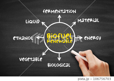 Biofuel renewable - derived entirely from plant-based organic materials, mind map concept on blackboard for presentations and reports 106756703