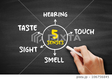 Five basic human senses 106756845
