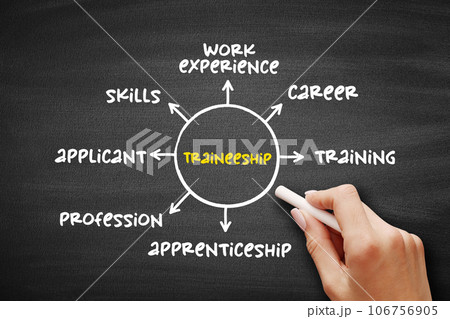 Traineeship - period when someone is trained in the skills needed for a particular job, mind map concept for presentations and reports 106756905