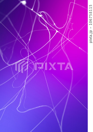 Halloween background with spider web. Happy Halloween concept. 106758115