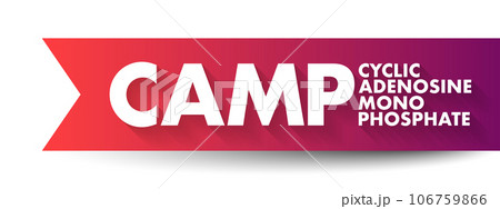CAMP Cyclic Adenosine MonoPhosphate - second messenger important in many biological processes, acronym text concept background CAMP Cyclic Adenosine MonoPhosphate - second messenger important in many biological processes, acronym text concept background 106759866