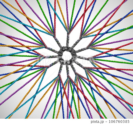 Network Diversification Network Diversification 106760385