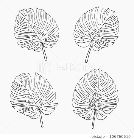 Simplicity monstera leaf freehand continuous line drawing flat design. 106760610