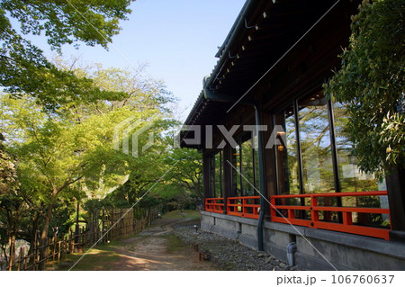 奈良ホテル　中庭 106760637