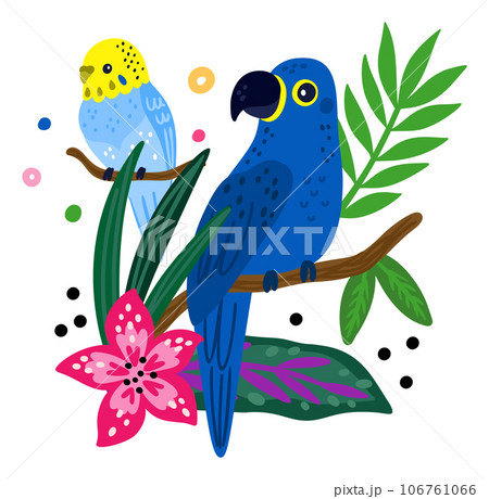 Tropical birds poster. Bright parrot and jungle plants. Funny rainforest creature. Hibiscus flowers. Flying feathered animal. Parakeet or macaw on palm branch. Vector color summer card 106761066