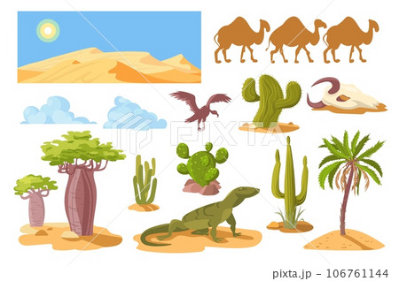 Cartoon desert cactus and rocks. Plants and animals. Arid hot climate elements. Sand dunes. Savannah baobabs and palm trees. Camels and varan lizard. Sahara panorama. Splendid vector set Cartoon desert cactus and rocks. Plants and animals. Arid hot climate elements. Sand dunes. Savannah baobabs and palm trees. Camels and varan lizard. Sahara panorama. Splendid vector set 106761144
