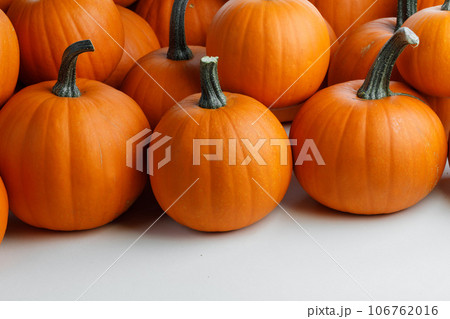 Many orange pumpkins on white 106762016