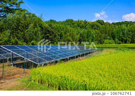 ソーラーパネルと収穫間近の米 106762741