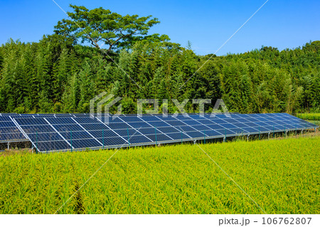 ソーラーパネルと収穫間近の米 106762807