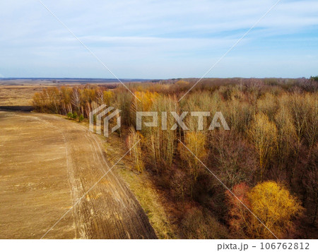 The captivating beauty of an agricultural field merging with a thriving forest is evident in the panoramic aerial view of the landscape. The captivating beauty of an agricultural field merging with a thriving forest is evident in the panoramic aerial view of the landscape. 106762812