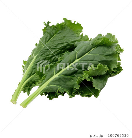 Green kale leaves isolated Green kale leaves isolated 106763536