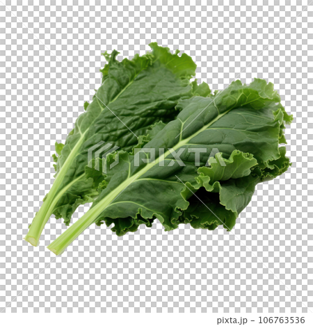 Green kale leaves isolated Green kale leaves isolated 106763536