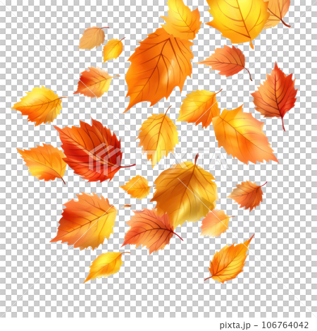 Autumn falling leaves isolated Autumn falling leaves isolated 106764042