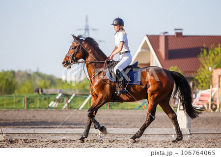 Young rider woman riding horse warming up before showjumping competition 106764065
