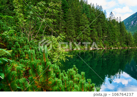 Spruce forest near blue lake in mountains. Tatra National Park in Poland. Panoramic view on Morskie Oko or Sea Eye lake in Five lakes valley. Nature landscape Spruce forest near blue lake in mountains. Tatra National Park in Poland. Panoramic view on Morskie Oko or Sea Eye lake in Five lakes valley. Nature landscape 106764237