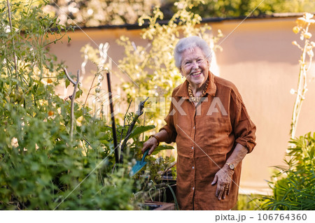 Portrait of senior woman taking care of vegetable plants in urban garden. 106764360