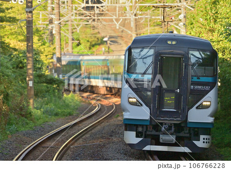 東海道本線 根府川ー早川 JR東日本 E257系2000番台 NA-07編成(大宮) 湘南 東海道本線 根府川ー早川 JR東日本 E257系2000番台 NA-07編成(大宮) 湘南 106766228